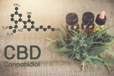 3 choses à savoir sur la fleur de CBD