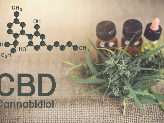 les effets de l'huile de cbd