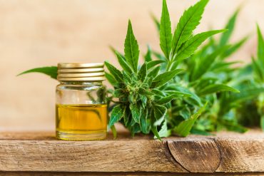 Le CBD peut-il favoriser la perte de poids ?