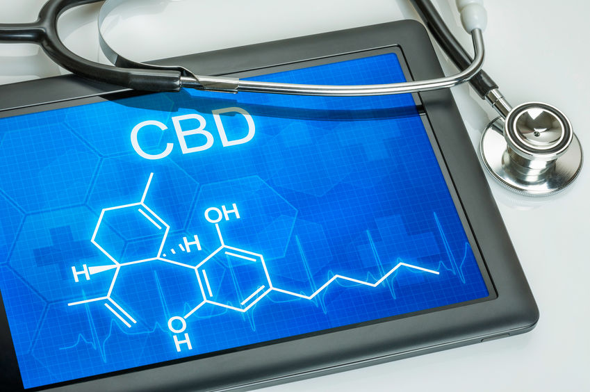 Le CBD : cadre juridique européen